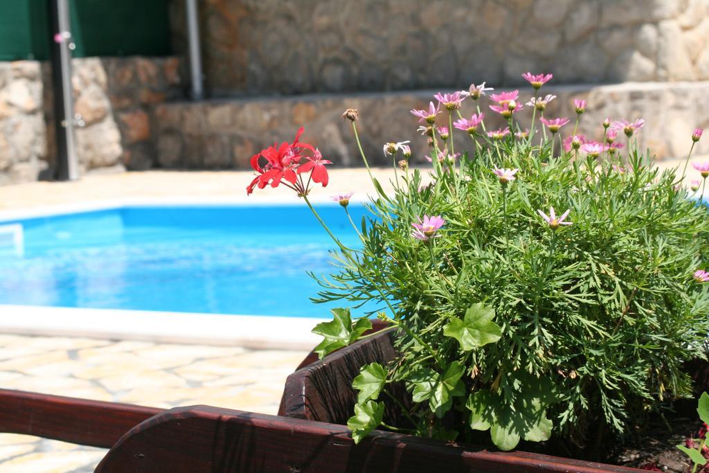 Apartments Petricic With Swimming Pool Icici Bagian luar foto